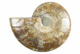 Cut & Polished Ammonite Fossil (Half) - Deep Crystal Pockets #346005-1